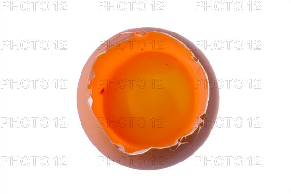 Closeup overhead view of brown chicken egg without shell on top. Yolk and albumen can be seen inside