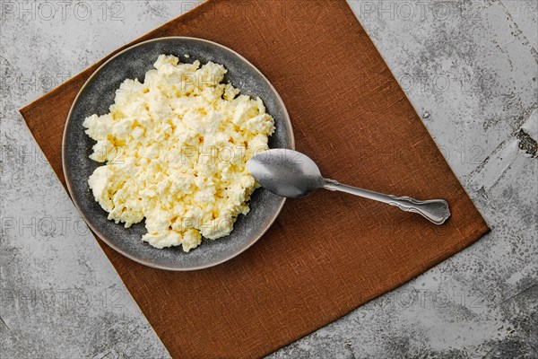 Top view of plate with homemade cottage cheese with spoon