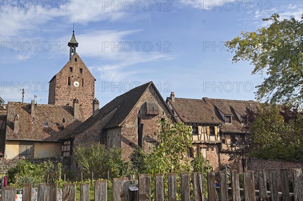 Colourful half-timbered houses in the historic old town of Riquewihr