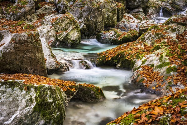 Autumn watercourse on the Lepenjica