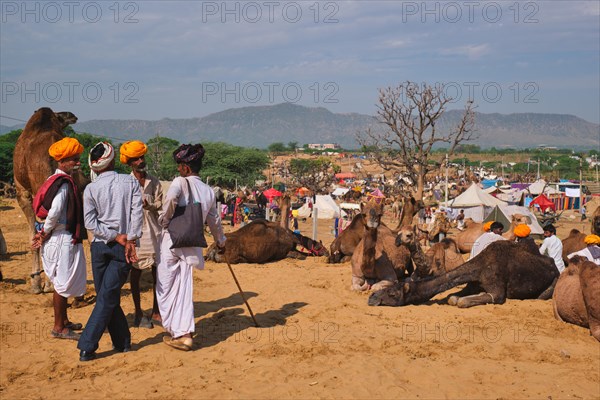 Pushkar