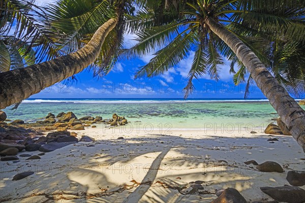 Dream beach Anse Baleine