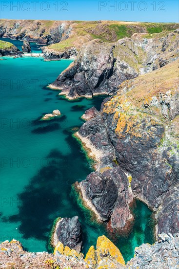 Kynance Cove and Asparagus Island