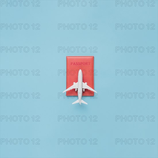 Passport red case toy plane