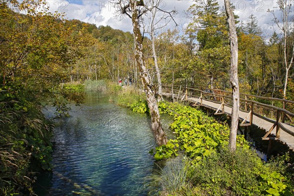 Wooden footbridge through Plitvice Lakes National Park