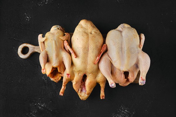 Three types of poultry on wooden board: chicken