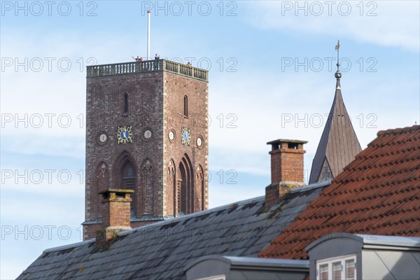 Ribe Cathedral