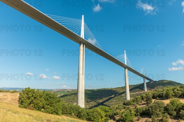 Millau Viaduct bridge