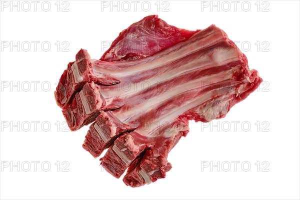 Raw fresh deer ribs isolated on white background