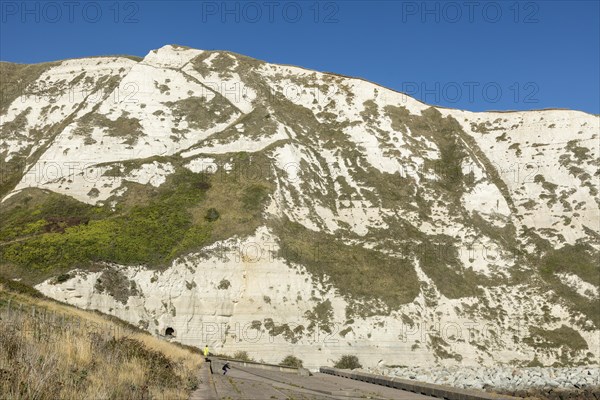 Chalk Cliffs