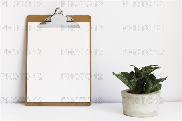 Clipboard potted plant