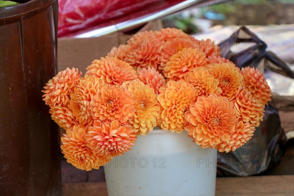 Beautiful bouquet of flowers on street flower vendor