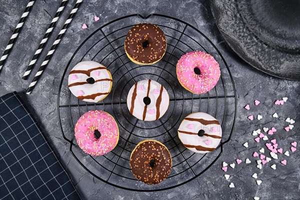 Donuts with different white and brown chocolate and strawberry glazings with sprinkles arranged in circle on cake grid on dark grunge background