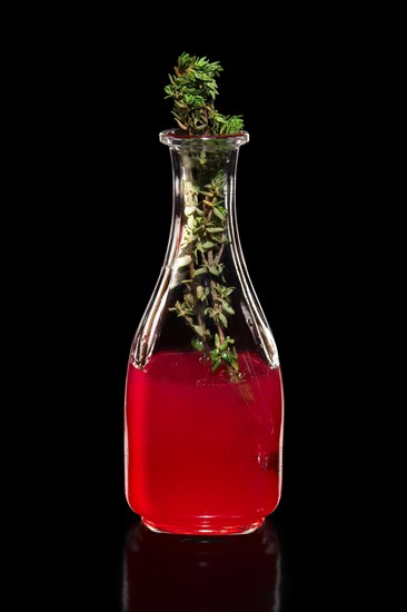 Fresh cranberry juice as ingredient for vodka cocktail isolated on black