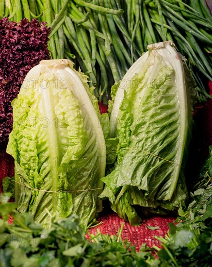 2 lettuces on sale on a Turkish street bazaar