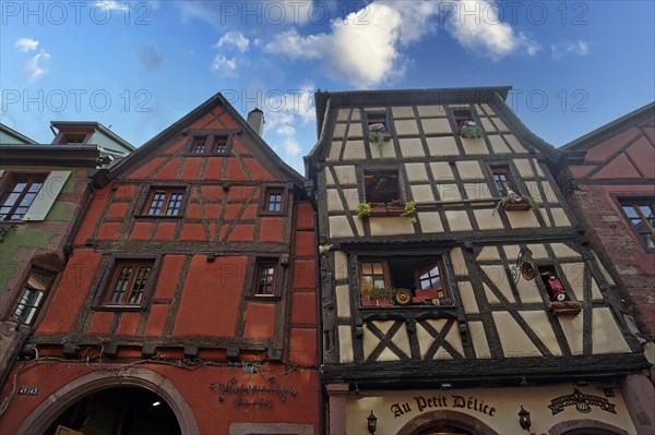 Colourful half-timbered houses in the historic old town of Riquewihr