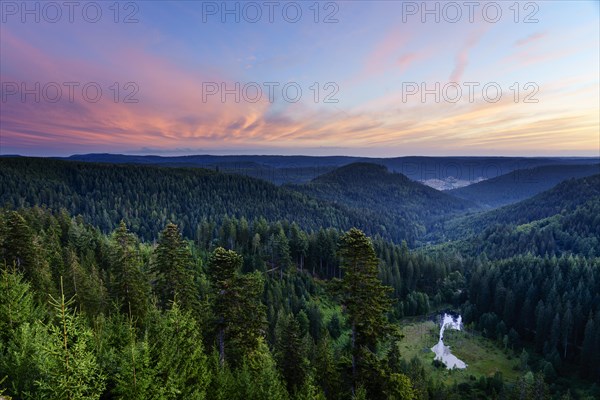 View from the Ellbachseeblick viewing platform