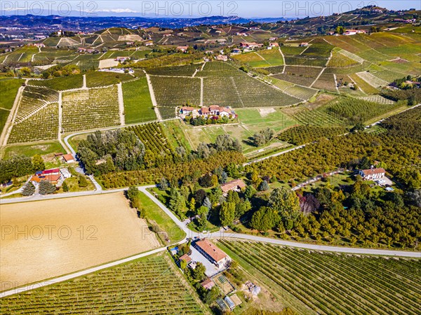 Aerials of the wineyards around Castle of Grinzane Cavour