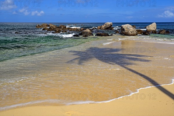 Dream beach Glacis Beach in the evening with shade of a coconut palm