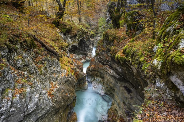 Moznica gorge