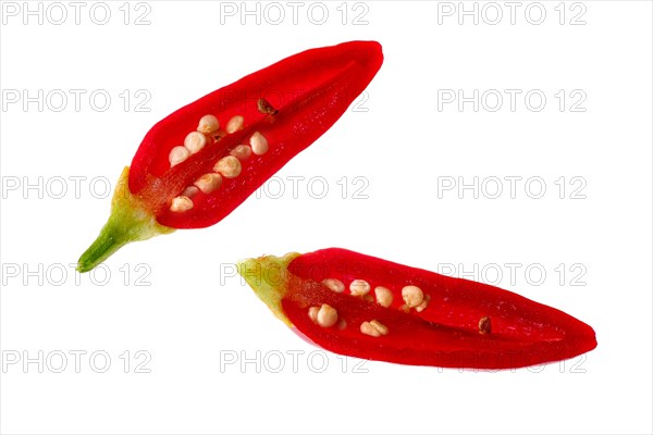 Baby jalapeno pepper cut on two half isolated on white background