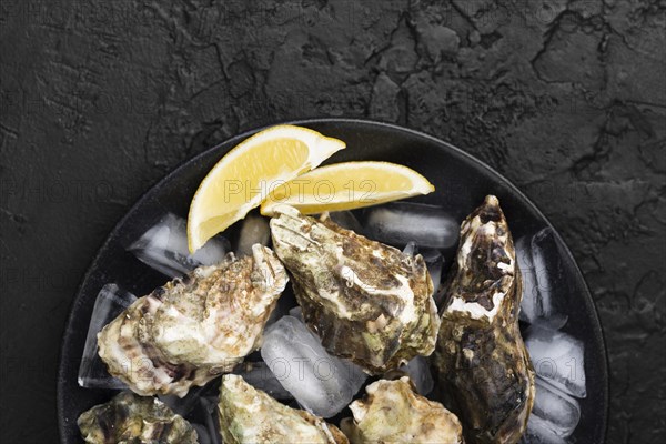 Top view plate with oysters lemon slices. Resolution and high quality beautiful photo