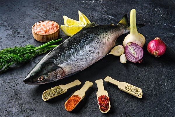 Red salmon on black concrete background