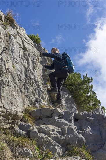 Hiker