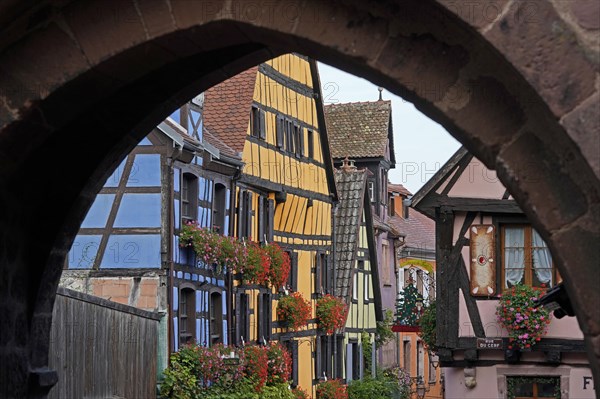 Colourful half-timbered houses in the historic old town of Riquewihr