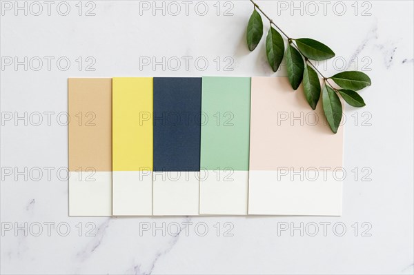 Color swatches plain background