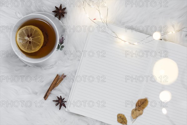 Teatime white fur plaid with notebook. Resolution and high quality beautiful photo