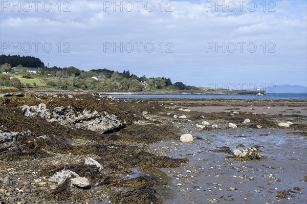 Coast at Broadford at low tide