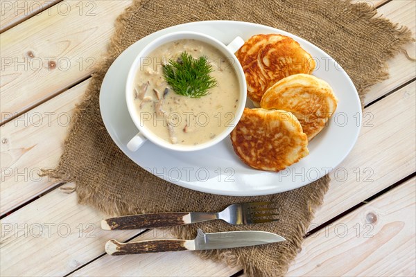 Fritters with mushroom sauce. Traditional Slavic pancakes with fat mushroom and flour sauce