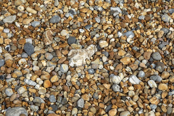 Stones on the Beach