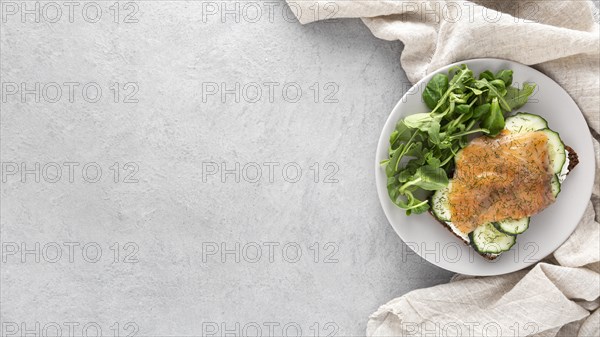 Top view sandwich with cucumbers salmon plate with copy space. Resolution and high quality beautiful photo
