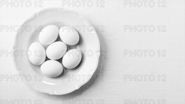 Top view white eggs plate with copy space. Resolution and high quality beautiful photo