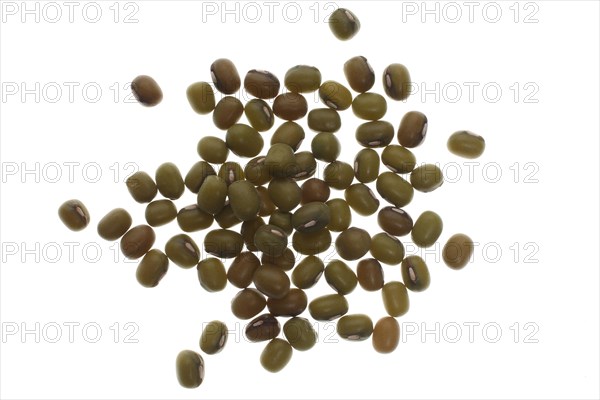 Mung bean