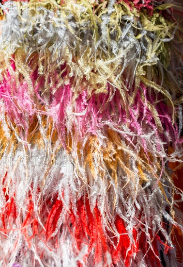 Collection of colored decorative feathers placed on white background