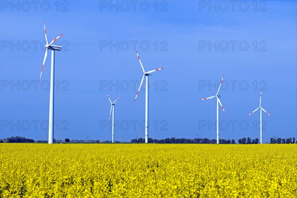 Wind turbines in a rape