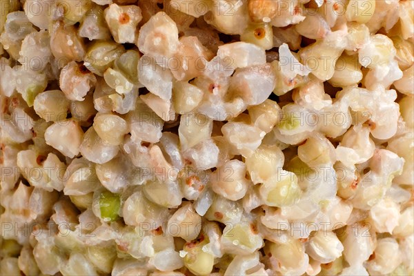 Macro photo of boiled green buckwheat