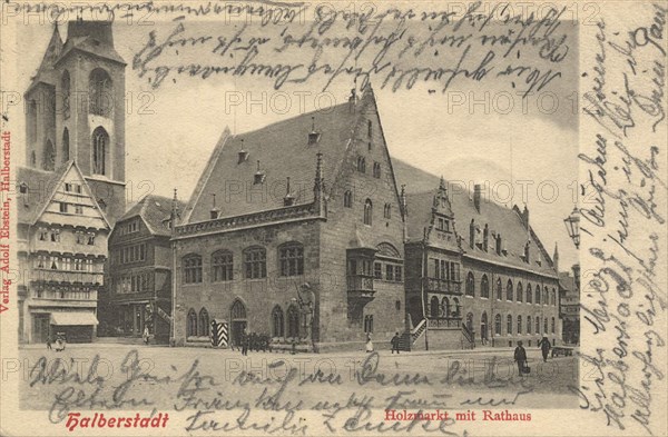 Holzmarkt with town hall