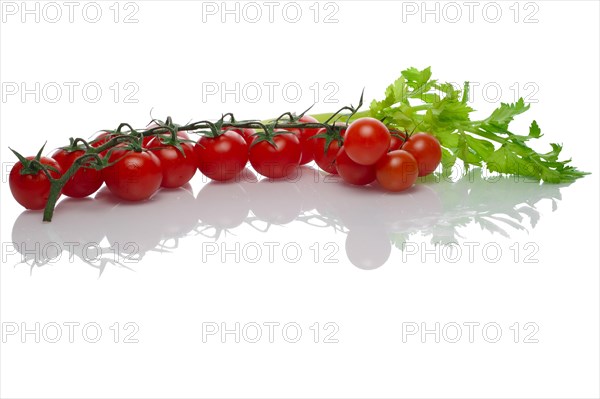 Celery and tomato with reflection on white background