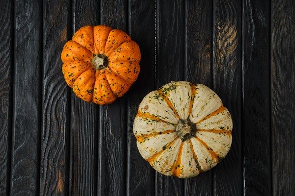 Top view of two colourful carnival squash pumpkin on black wooden table