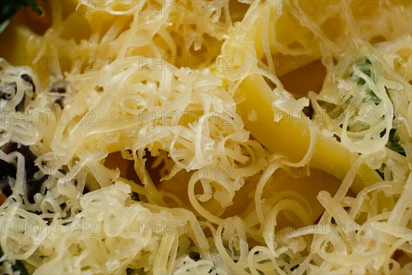 Macro photo with shallow depth of field of pasta with parmesan