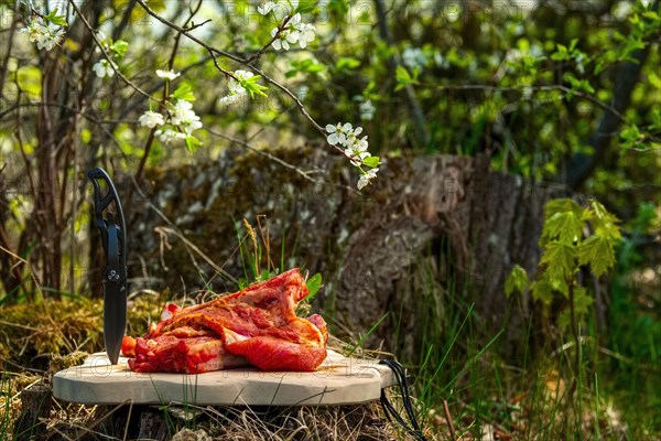 Fresh pork ribs with salt and pepper on cutting board outdoor. Selective focus photo