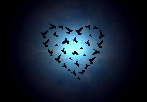 The inscription of the heart shape with birds in sky