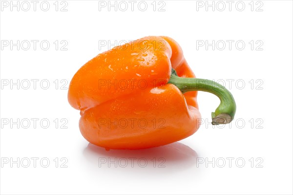 Sweet bell pepper with shadow on white background