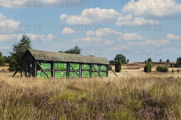 Beehive in the Lueneburg Heath