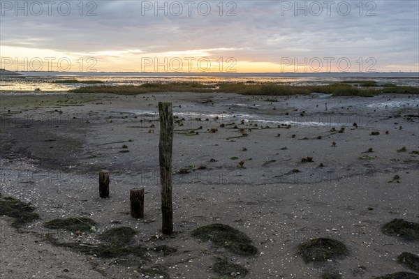 Sunrise at low tide
