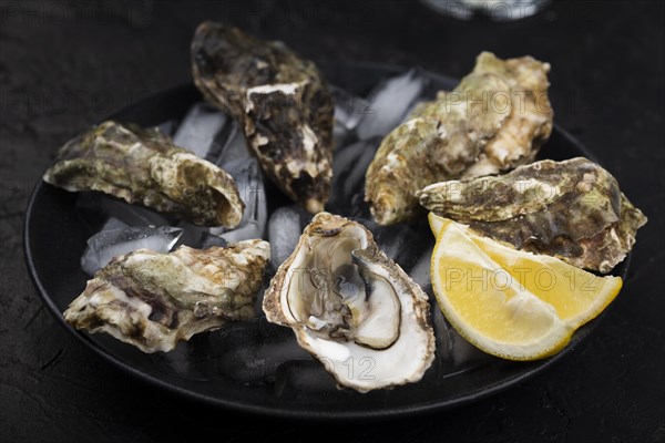 Oyster with lemon slice sand ice